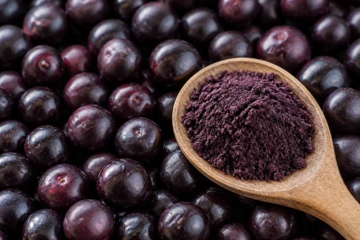 Açaí-Pulver auf einem Holzlöffel zwischen frischen Açaí-Beeren